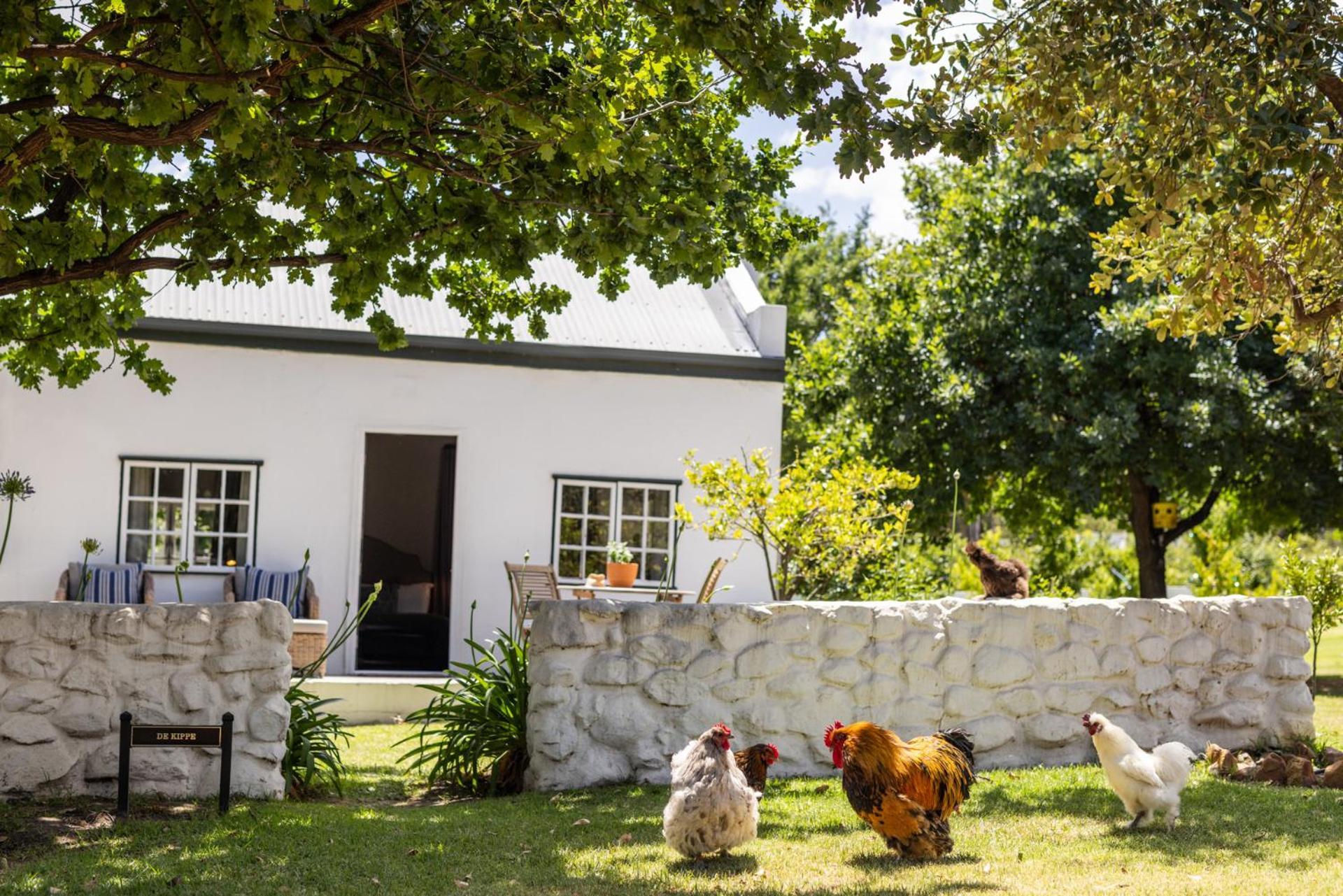 Eikehof Farm Daire Worcester Dış mekan fotoğraf